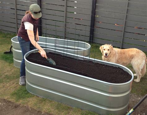 galvanized troughs for gardening